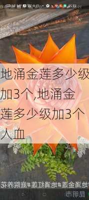 地涌金莲多少级加3个,地涌金莲多少级加3个人血