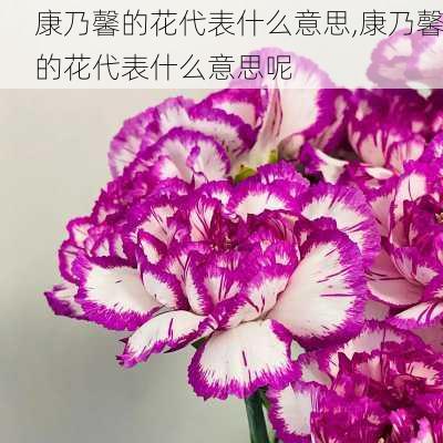 康乃馨的花代表什么意思,康乃馨的花代表什么意思呢