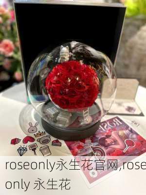 roseonly永生花官网,roseonly 永生花-第3张图片-花卉百科