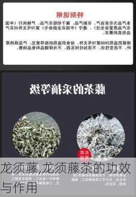 龙须藤,龙须藤茶的功效与作用-第3张图片-花卉百科