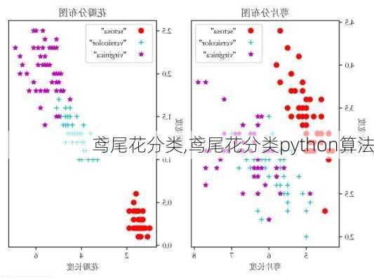 鸢尾花分类,鸢尾花分类python算法