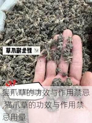 猫爪草的功效与作用禁忌,猫爪草的功效与作用禁忌用量