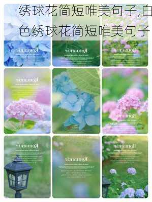 绣球花简短唯美句子,白色绣球花简短唯美句子-第2张图片-花卉百科