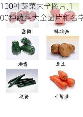 100种蔬菜大全图片,100种蔬菜大全图片和名字