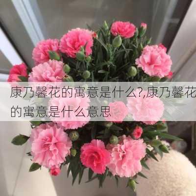 康乃馨花的寓意是什么?,康乃馨花的寓意是什么意思-第2张图片-花卉百科