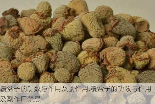 覆盆子的功效与作用及副作用,覆盆子的功效与作用及副作用禁忌-第2张图片-花卉百科