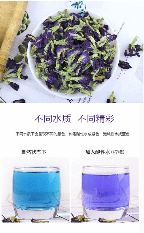 蝶豆花,蝶豆花的功效与作用