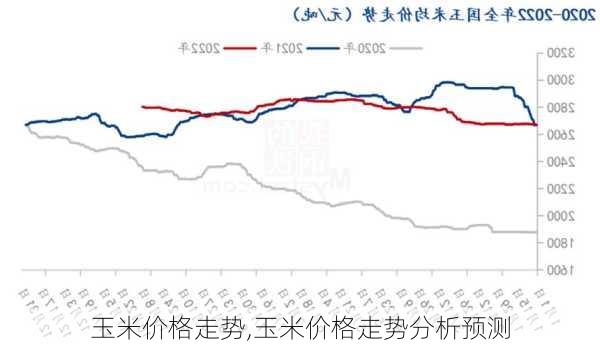 玉米价格走势,玉米价格走势分析预测-第2张图片-花卉百科