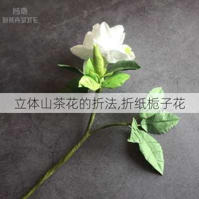 立体山茶花的折法,折纸栀子花