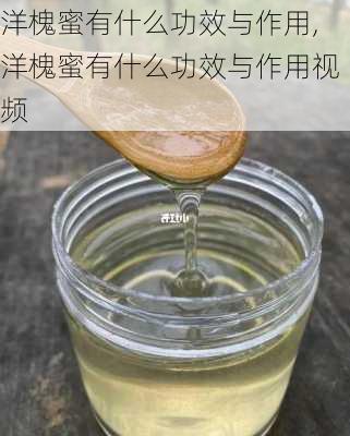 洋槐蜜有什么功效与作用,洋槐蜜有什么功效与作用视频-第2张图片-花卉百科