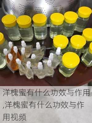 洋槐蜜有什么功效与作用,洋槐蜜有什么功效与作用视频-第3张图片-花卉百科