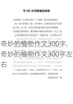 奇妙的植物作文300字,奇妙的植物作文300字左右