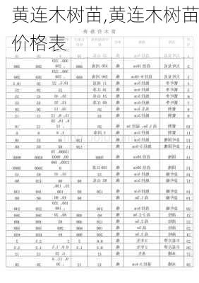 黄连木树苗,黄连木树苗价格表-第1张图片-花卉百科