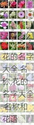 花的名字大全 名称,花的名字大全 名称和花语