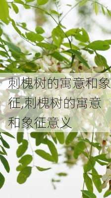 刺槐树的寓意和象征,刺槐树的寓意和象征意义-第2张图片-花卉百科