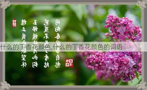 什么的丁香花颜色,什么的丁香花颜色的词语-第2张图片-花卉百科