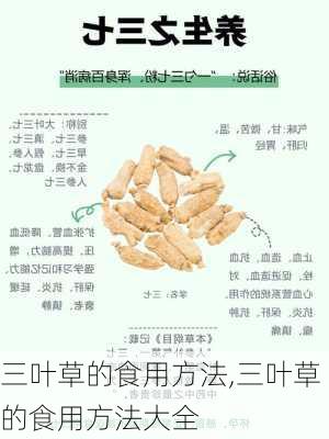 三叶草的食用方法,三叶草的食用方法大全