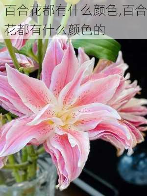 百合花都有什么颜色,百合花都有什么颜色的-第2张图片-花卉百科