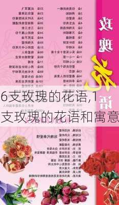 16支玫瑰的花语,16支玫瑰的花语和寓意-第1张图片-花卉百科