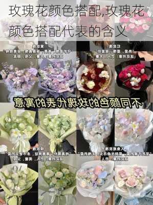 玫瑰花颜色搭配,玫瑰花颜色搭配代表的含义