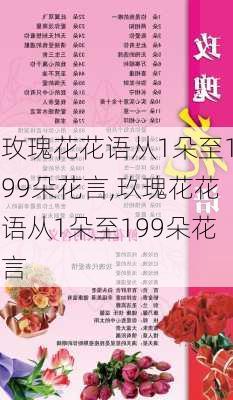 玫瑰花花语从1朵至199朵花言,玖瑰花花语从1朵至199朵花言