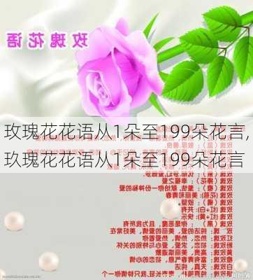 玫瑰花花语从1朵至199朵花言,玖瑰花花语从1朵至199朵花言-第2张图片-花卉百科