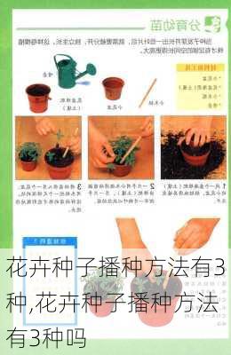 花卉种子播种方法有3种,花卉种子播种方法有3种吗