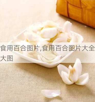 食用百合图片,食用百合图片大全大图-第2张图片-花卉百科