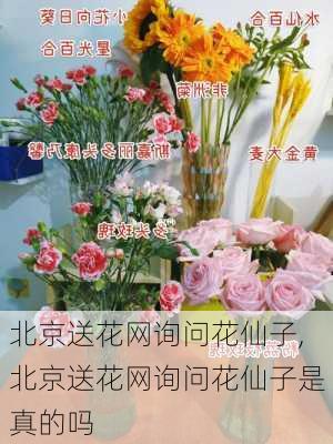 北京送花网询问花仙子,北京送花网询问花仙子是真的吗-第2张图片-花卉百科