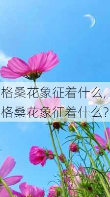 格桑花象征着什么,格桑花象征着什么?