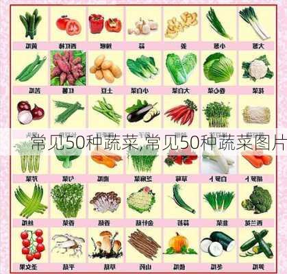 常见50种蔬菜,常见50种蔬菜图片