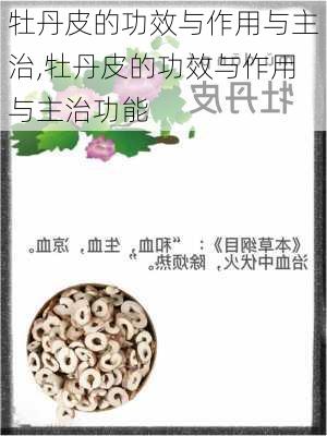 牡丹皮的功效与作用与主治,牡丹皮的功效与作用与主治功能-第2张图片-花卉百科