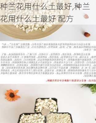 种兰花用什么土最好,种兰花用什么土最好 配方-第1张图片-花卉百科