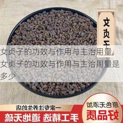 女贞子的功效与作用与主治用量,女贞子的功效与作用与主治用量是多少-第2张图片-花卉百科