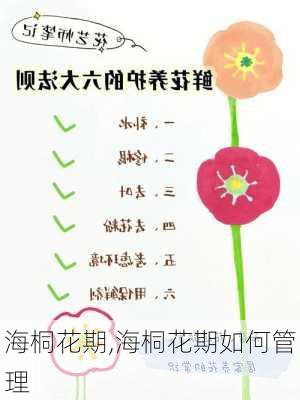 海桐花期,海桐花期如何管理-第1张图片-花卉百科