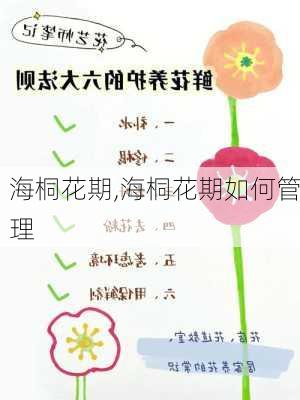 海桐花期,海桐花期如何管理-第2张图片-花卉百科