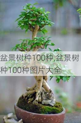 盆景树种100种,盆景树种100种图片大全