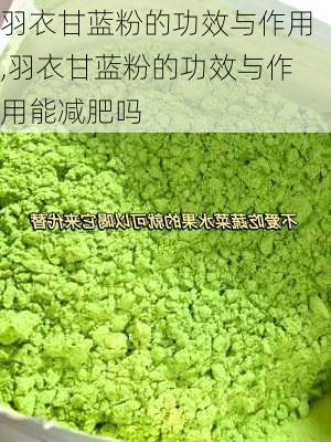 羽衣甘蓝粉的功效与作用,羽衣甘蓝粉的功效与作用能减肥吗