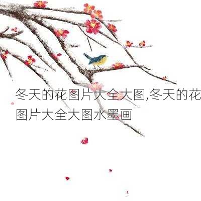 冬天的花图片大全大图,冬天的花图片大全大图水墨画