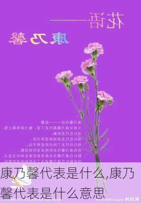 康乃馨代表是什么,康乃馨代表是什么意思-第2张图片-花卉百科