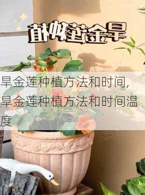 旱金莲种植方法和时间,旱金莲种植方法和时间温度