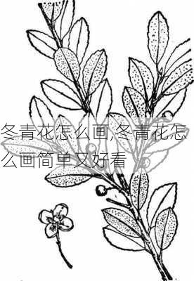 冬青花怎么画,冬青花怎么画简单又好看-第1张图片-花卉百科