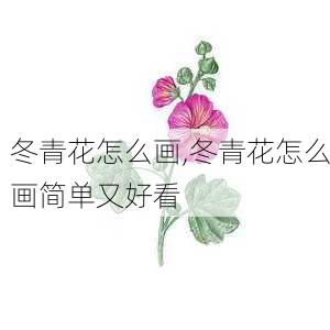 冬青花怎么画,冬青花怎么画简单又好看-第3张图片-花卉百科