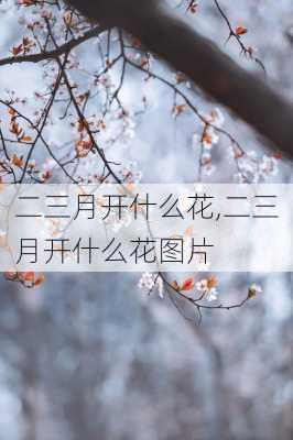 二三月开什么花,二三月开什么花图片