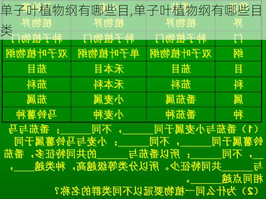 单子叶植物纲有哪些目,单子叶植物纲有哪些目类