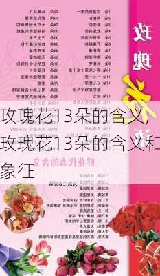 玫瑰花13朵的含义,玫瑰花13朵的含义和象征-第2张图片-花卉百科