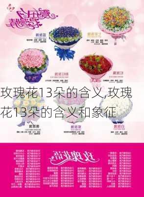 玫瑰花13朵的含义,玫瑰花13朵的含义和象征-第1张图片-花卉百科