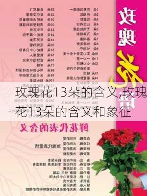 玫瑰花13朵的含义,玫瑰花13朵的含义和象征-第3张图片-花卉百科