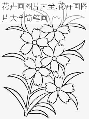 花卉画图片大全,花卉画图片大全简笔画