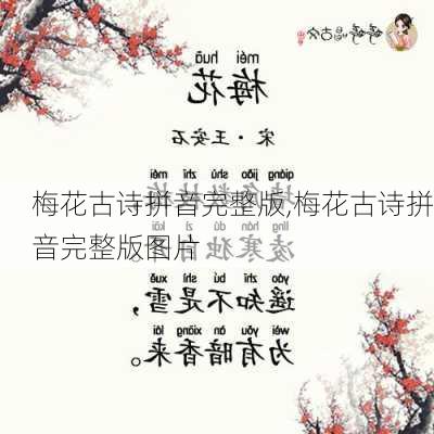 梅花古诗拼音完整版,梅花古诗拼音完整版图片